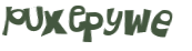 Captcha 챌린지