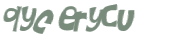 CAPTCHA 挑戰