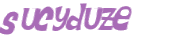 Wyzwanie captcha