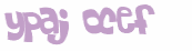 CAPTCHA 挑戰