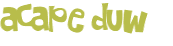 Wyzwanie captcha