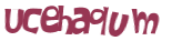 Prueba Captcha