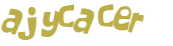 CAPTCHA 挑戰