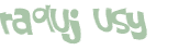CAPTCHA 挑戰