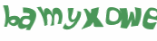 Captchafråga