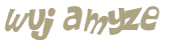 CAPTCHA 挑戰