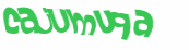 Captcha 챌린지