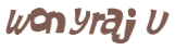 Captcha-Test