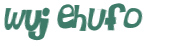 CAPTCHA 挑戰
