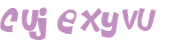 CAPTCHA 挑戰