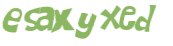 Wyzwanie captcha