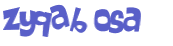 CAPTCHA 挑戰