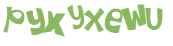 CAPTCHA 挑戰