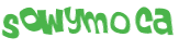 Sfida captcha