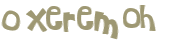 Captcha 챌린지