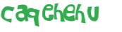 Captchafråga