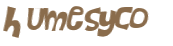 Captcha 챌린지