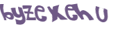 CAPTCHA 挑戰