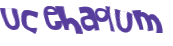 Wyzwanie captcha