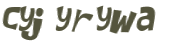 Wyzwanie captcha