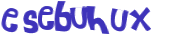 CAPTCHA 挑戰
