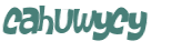 Captcha challenge