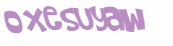 CAPTCHA 挑戰
