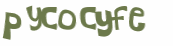 Captcha 챌린지