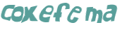 CAPTCHA 挑戰