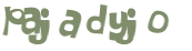 Desafio Captcha