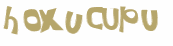 CAPTCHA 挑戰