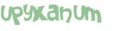 CAPTCHA 挑戰