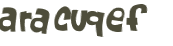 CAPTCHA 挑戰