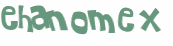 Captcha 챌린지