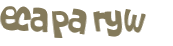 Wyzwanie captcha