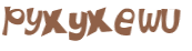CAPTCHA 挑戰