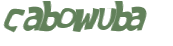 CAPTCHA-haaste
