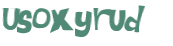 CAPTCHA 挑戰