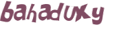 Captcha 챌린지