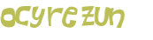 CAPTCHA 挑戰