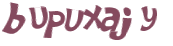 キャプチャ認証