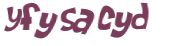 CAPTCHA 挑戰