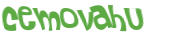 Desafio captcha