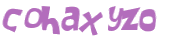 CAPTCHA 挑戰