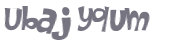 Captcha 챌린지
