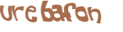 Desafio captcha