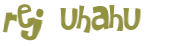 Desafio Captcha
