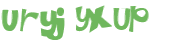 Captcha-Test