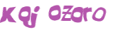 Desafio captcha