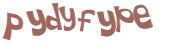 CAPTCHA 挑戰
